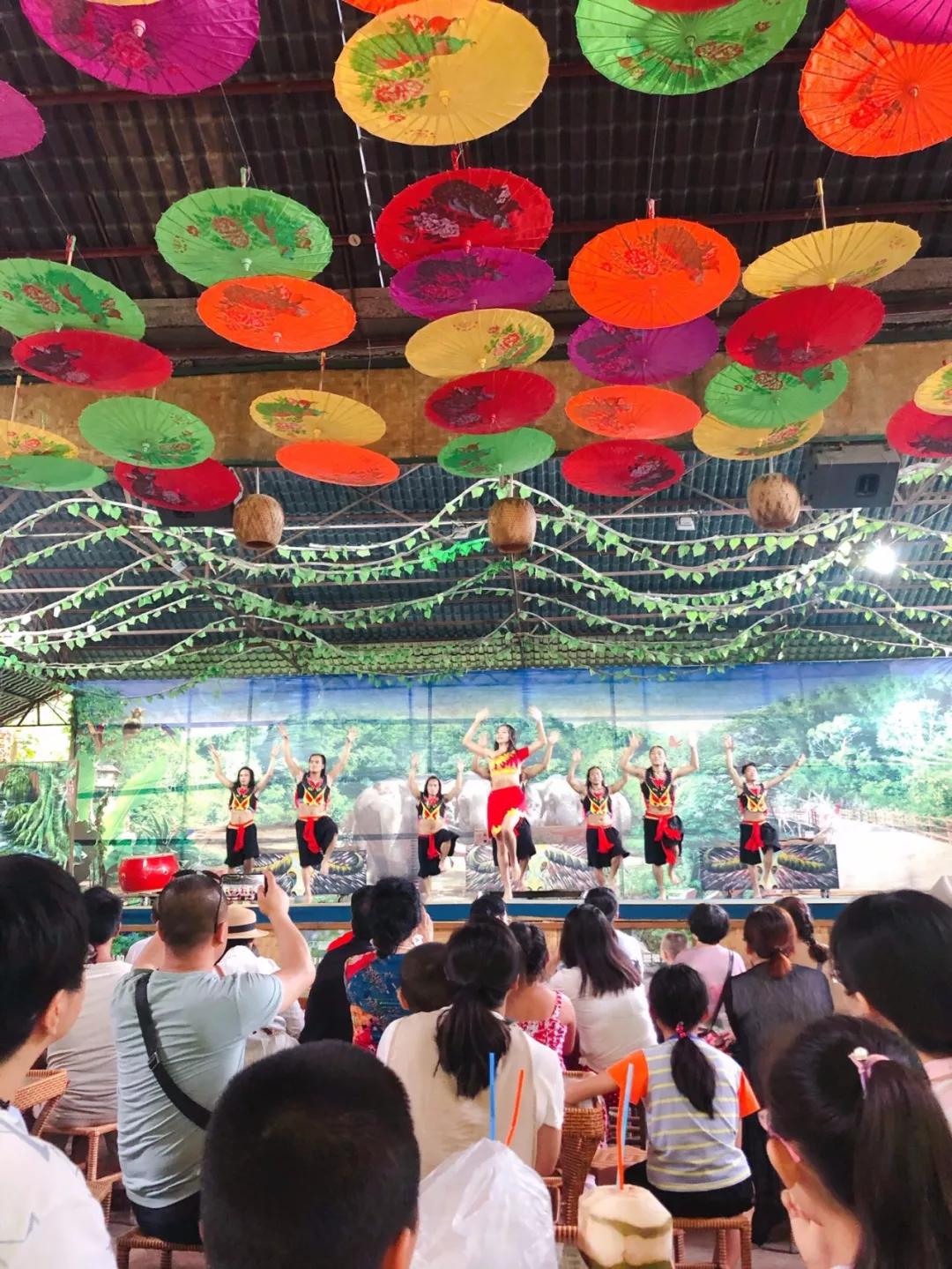 云南西双版纳旅游攻略app,云南西双版纳旅游攻略自由行12月