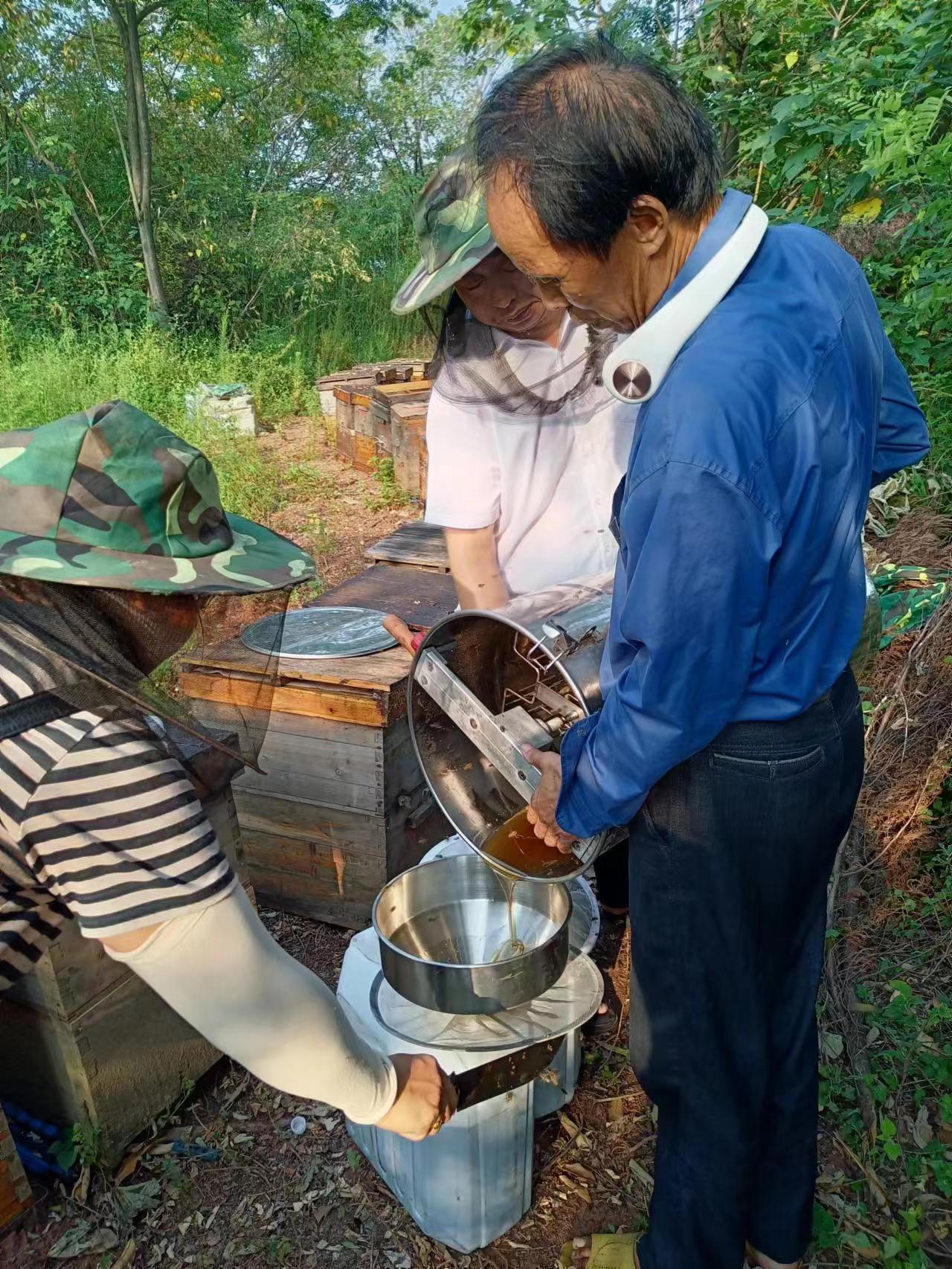 真正的土蜂蜜是多少钱一斤,正宗的土蜂蜜大概多少钱一斤2017