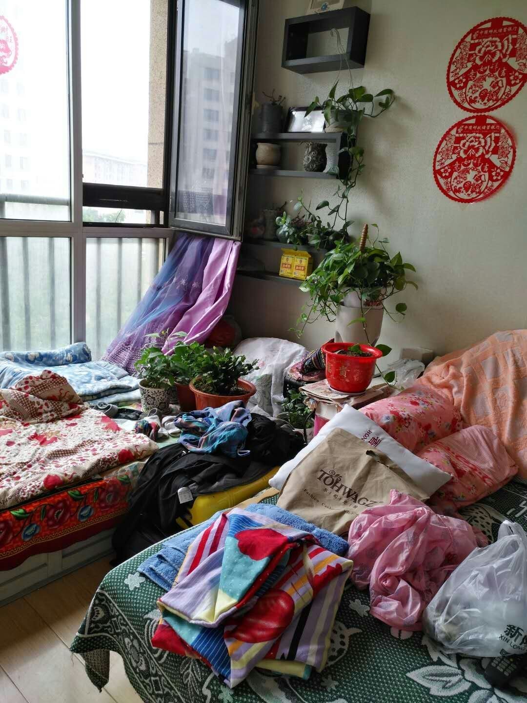 洗碗机、扫地机、擦窗机的出现，真是因为现在人都不喜欢做家务？