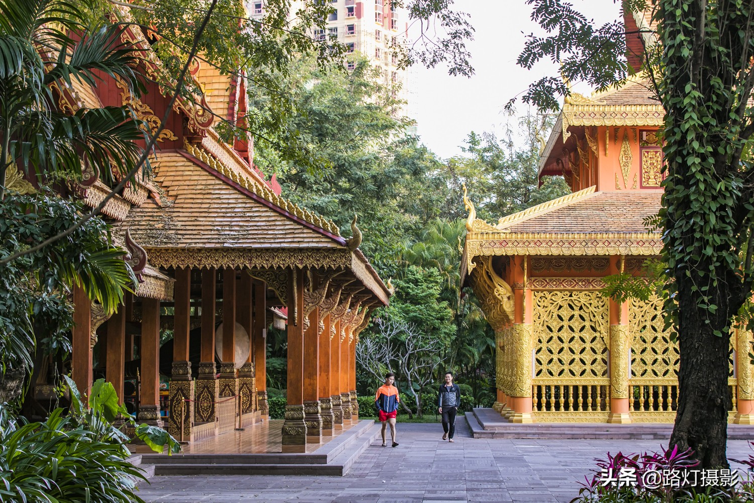 冬天应该也有最舒服的避寒胜地吧,这才是国内避寒的七座安逸城市