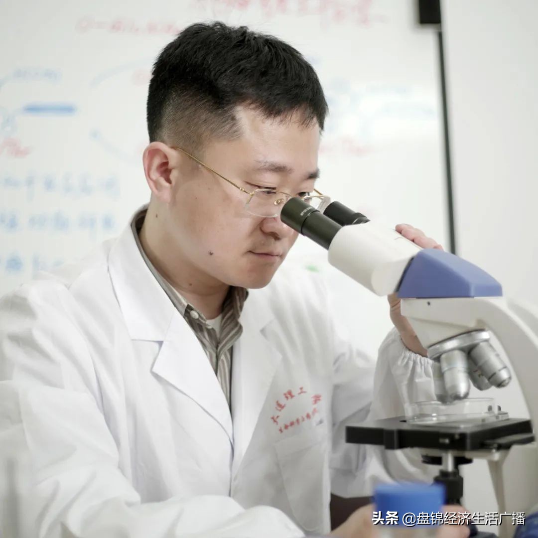 大连市五四青年奖章获得者,盘锦五四奖章名单