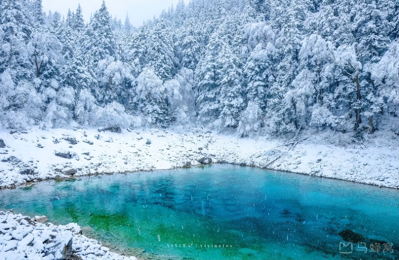 九寨沟旅游攻略路线图最新版,九寨沟旅游必去景区攻略