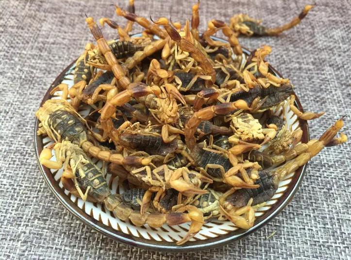 化痰散结，这几味虫类药材，助你“吃掉”肠息肉