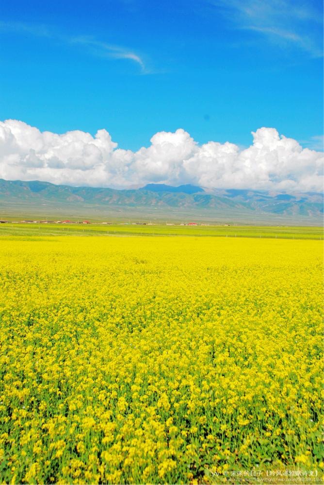 诗词技法36例,诗词入门基本知识大全