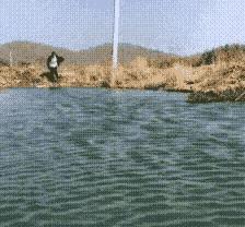 杭州最美老板娘视频,最美老板娘网友连夜赶往现场