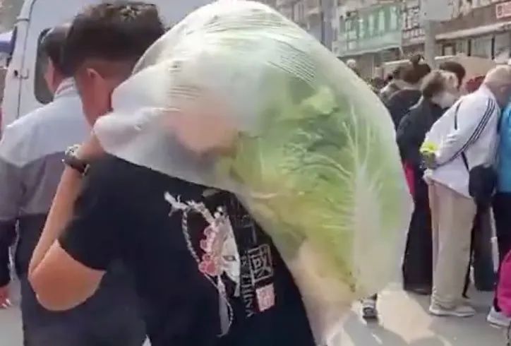 东北人冬天买白菜,盘点东北人买白菜