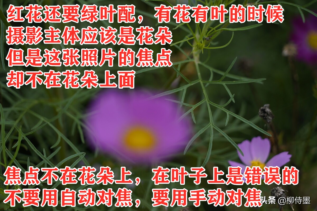 手机拍照要注意的几大要素有什么,手机拍照特别不清晰怎么办