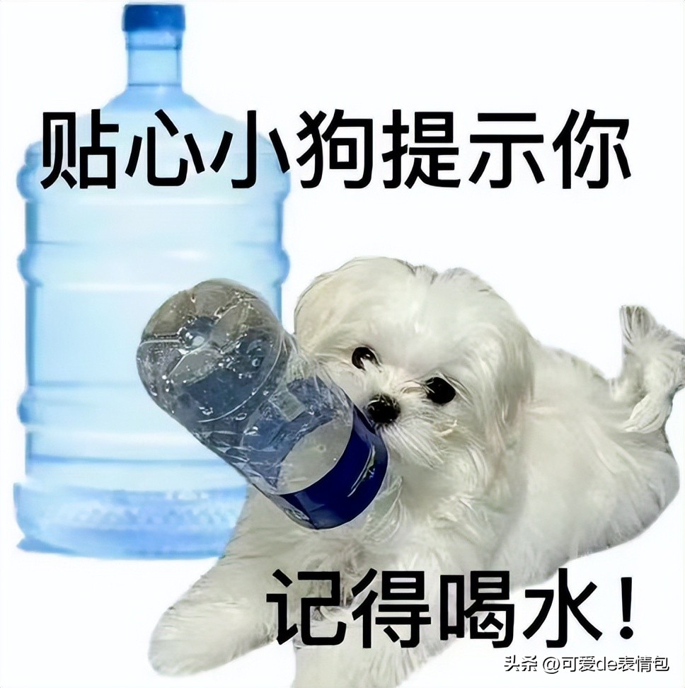 抖音黑人老嫂子搞笑表情包合集