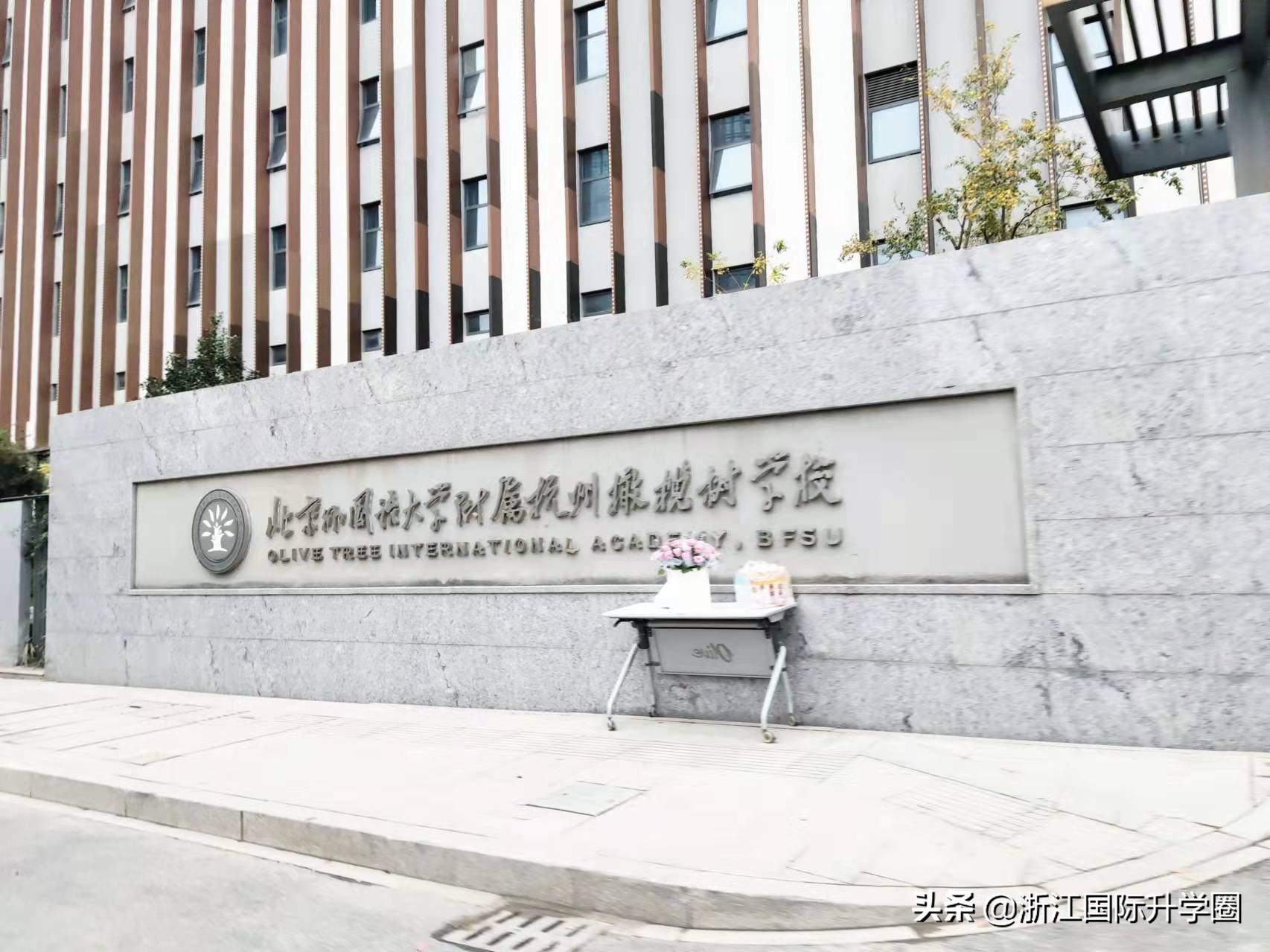 杭州外国语学院橄榄绿国际学校,浙江杭州橄榄树国际学校