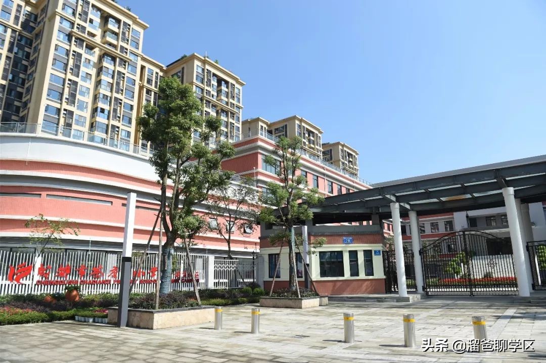 青羊新城哪个片区发展潜力大,青羊新城板块图