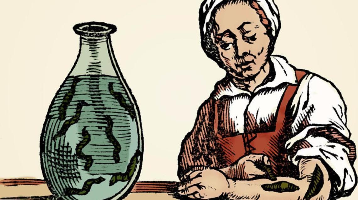 水蛭能吃铁线虫吗,水蛭可以吃蜗牛吗