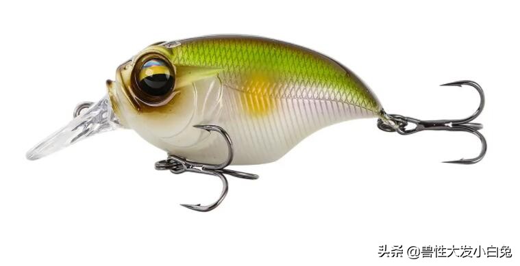 路亚鱼饵的介绍,路亚饵的全方面介绍