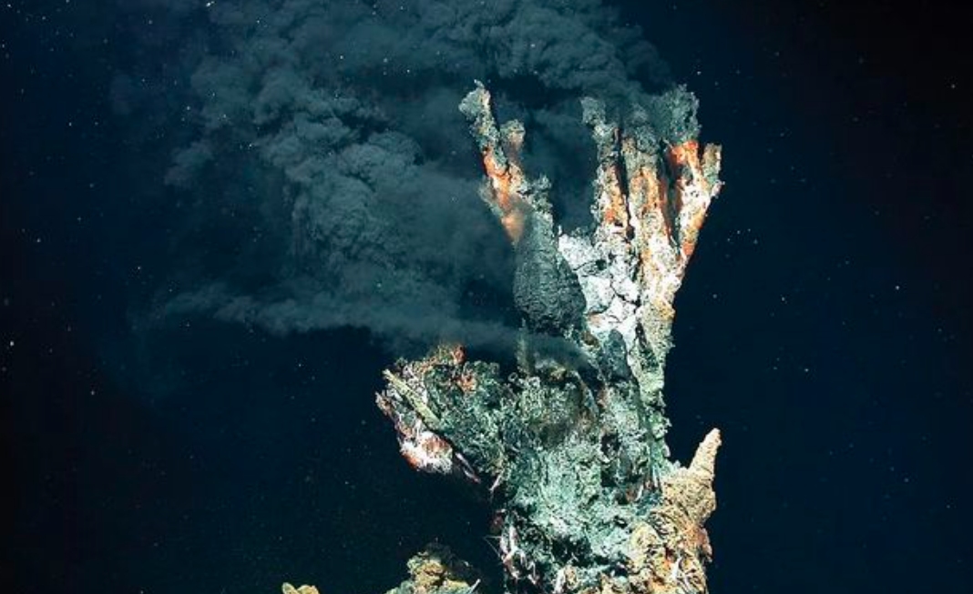 热液盲虾生活在450℃海底热泉旁，数量惊人，能不能用来烫火锅？