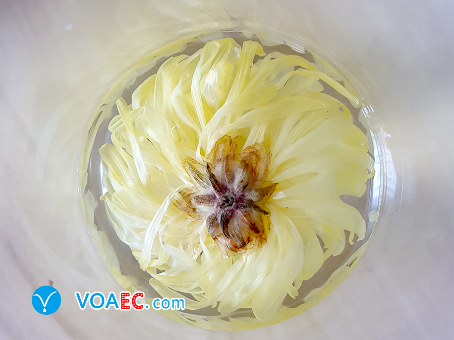 lowtea关于茶的介绍,low是低级茶吗