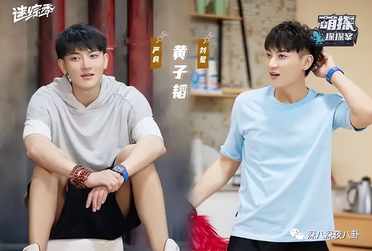 王子腾人物评价,王子腾是男的还是女的