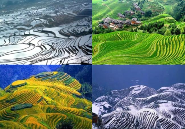 桂林纯玩团多少钱,桂林五日游旅行社报价多少