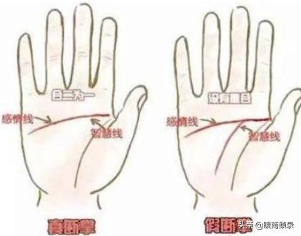 男人双断掌跟单断掌意味什么,手掌看相断掌克夫