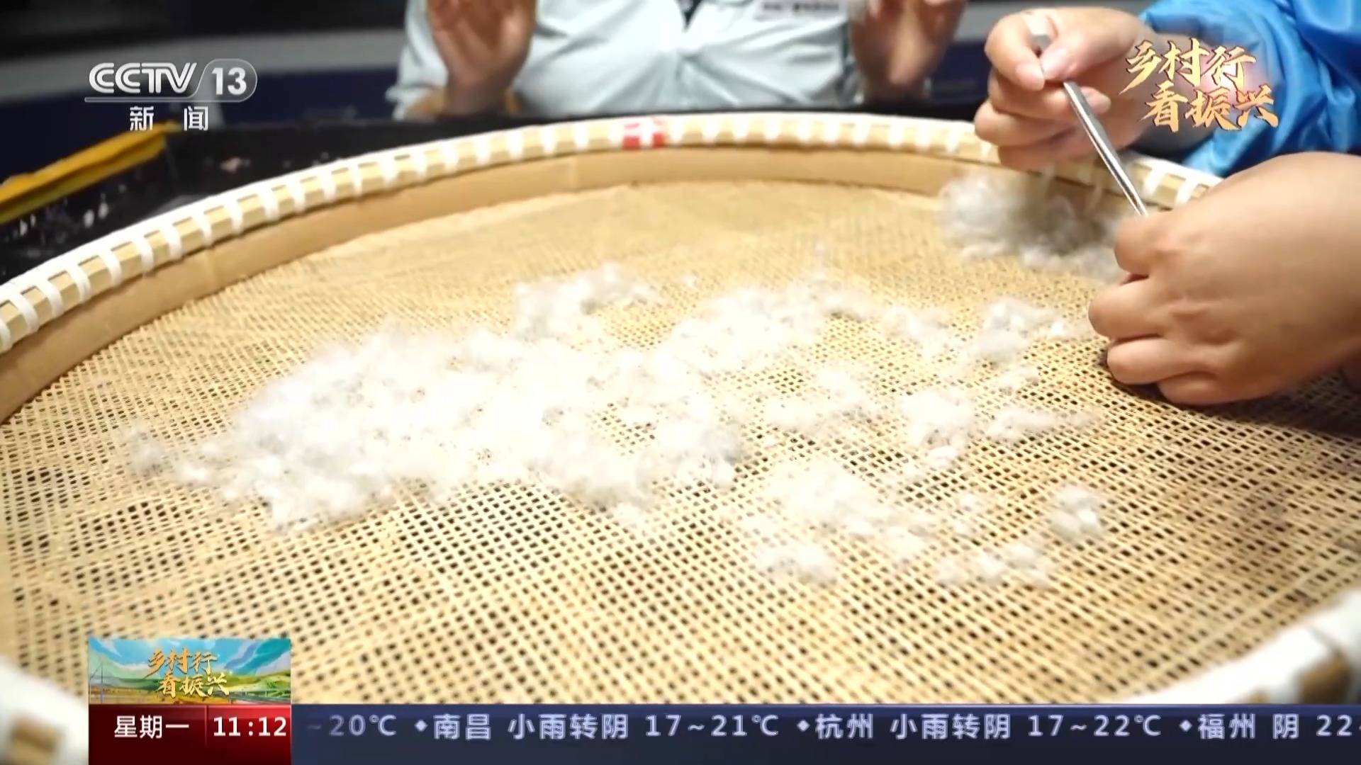 鹅走天下！这只大白鹅带你赚翻了！