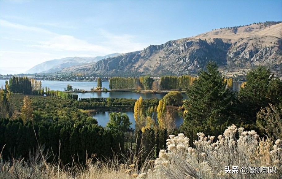 美国第42-44州开放获取报纸历史文献资源有哪些？如何利用？