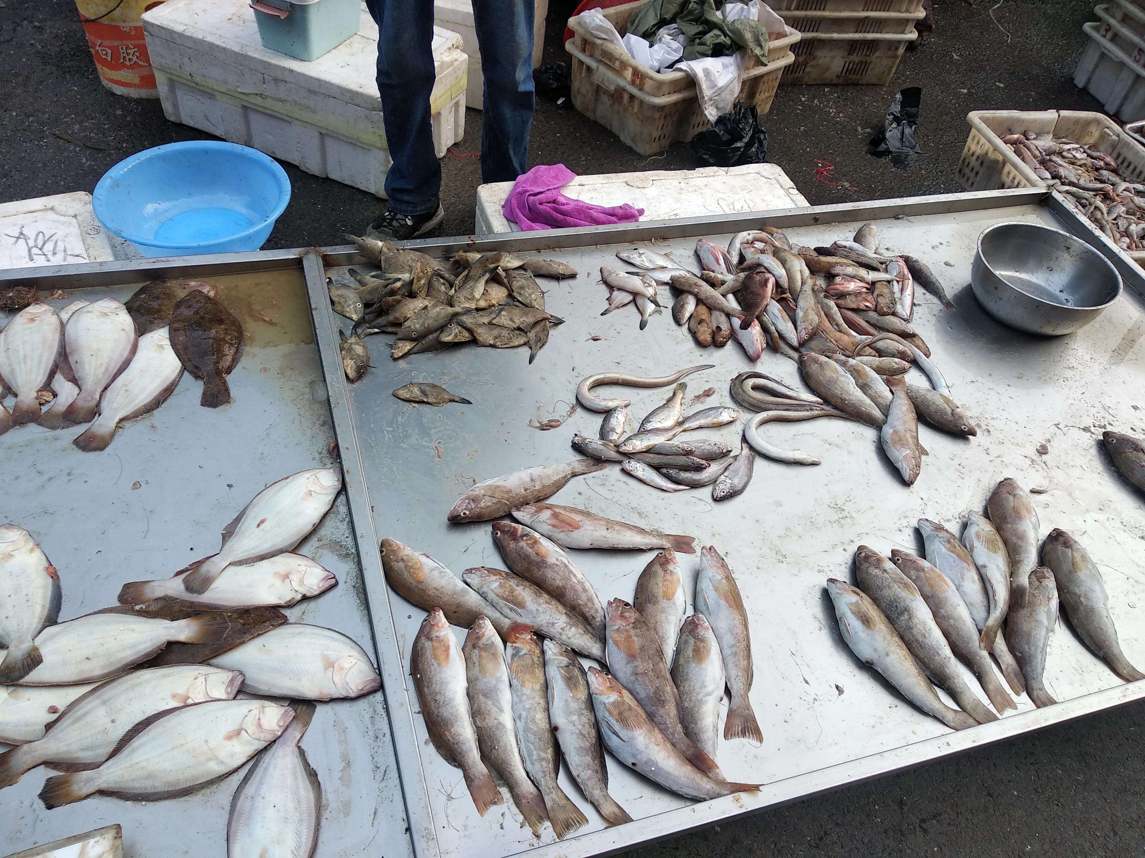 紧急提醒这5批次海鲜别买,海鲜黑幕揭秘