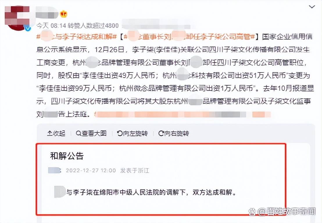李子柒油管广告收益曝光图片,李子柒油管收入归谁