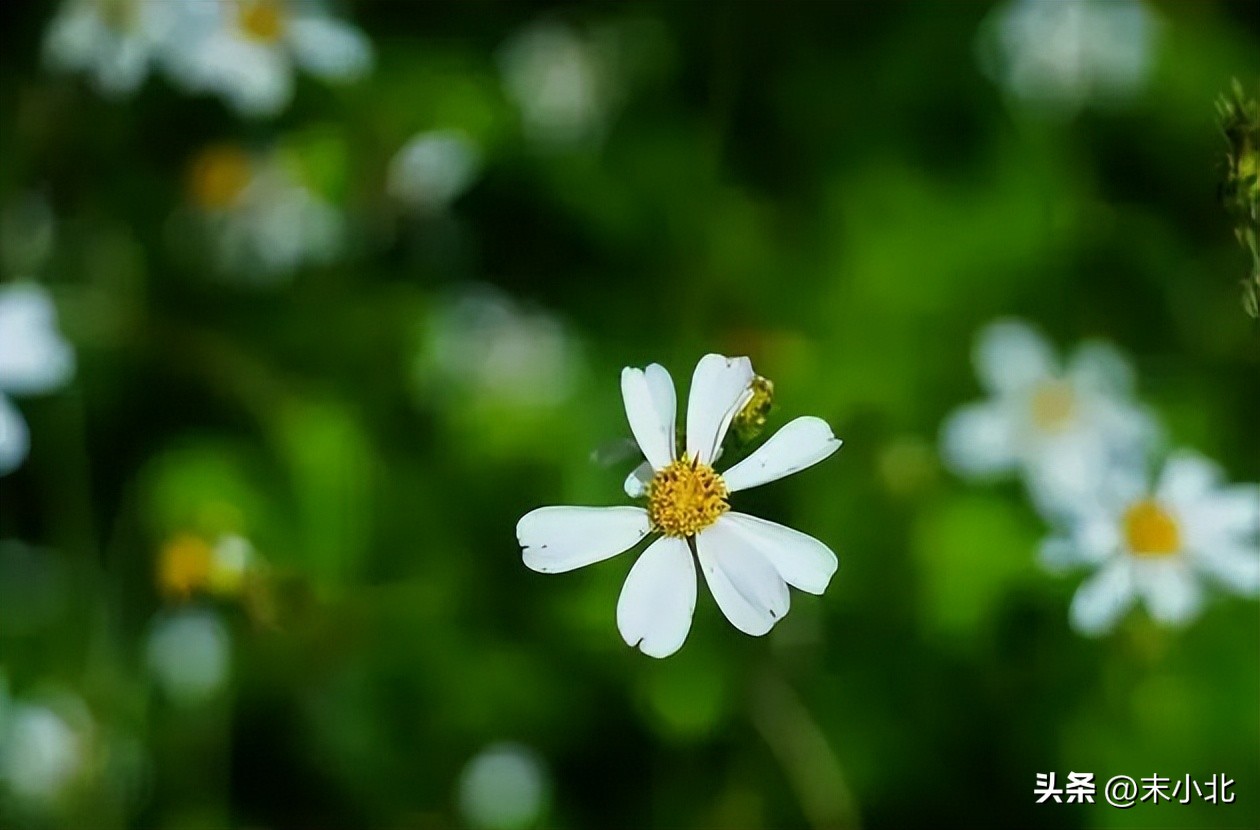 孤僻不愿意交流的人,一个人不想跟人说话是什么情况