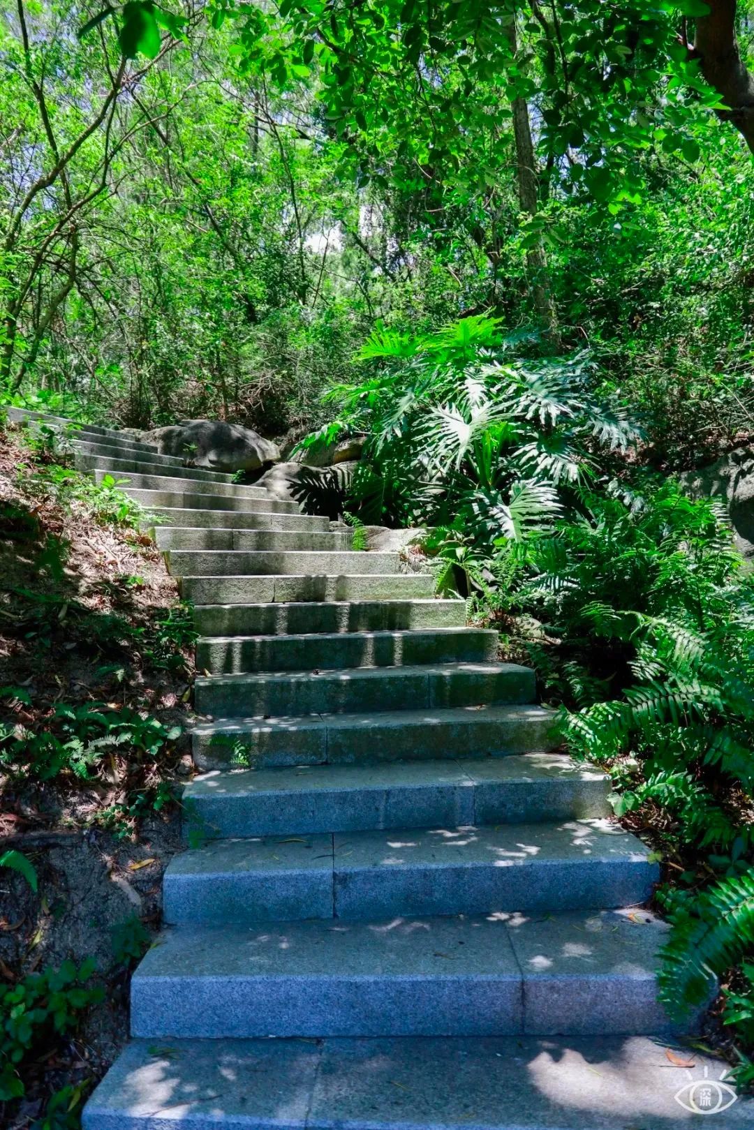 深圳10条入门登山线路推荐,深圳十大山峰最新登山攻略