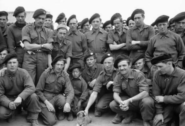 抗美援朝，被我国志愿军干趴下的6个国家，王牌*队军**三天被击败