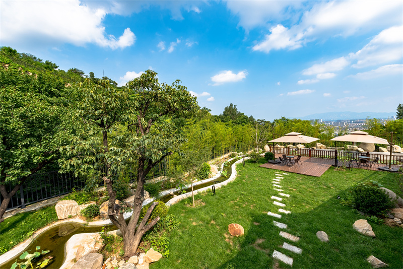 要住民宿用什么软件订好,泰国民宿攻略