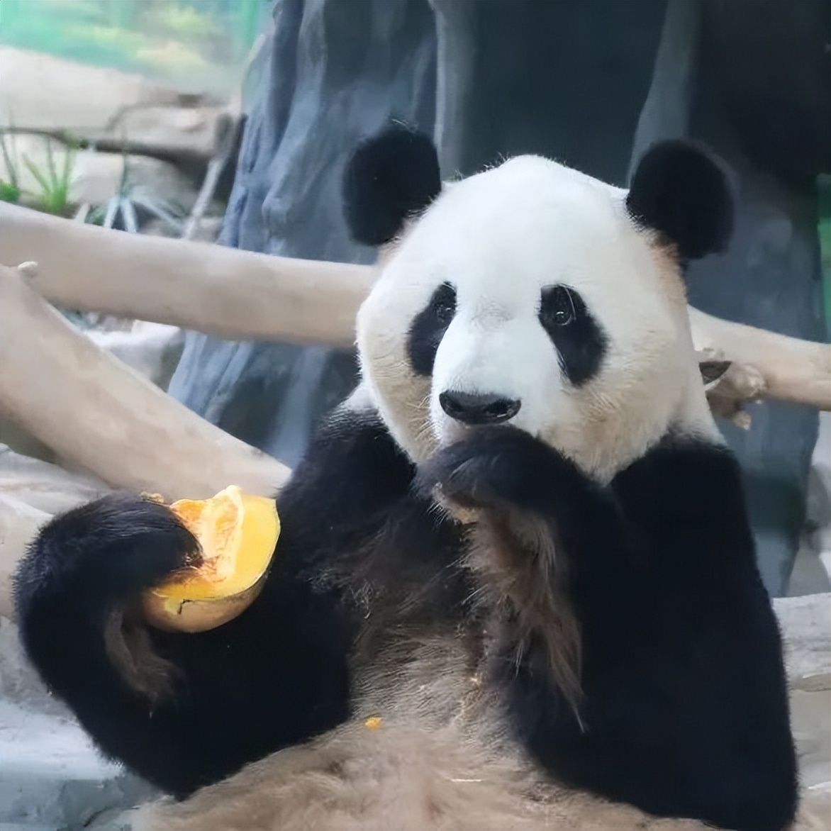 集美最值得去玩和吃的地方,厦门集美值得去的地方推荐