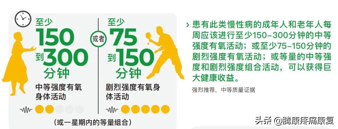 最新运动指南实锤,高效又轻松的运动指南