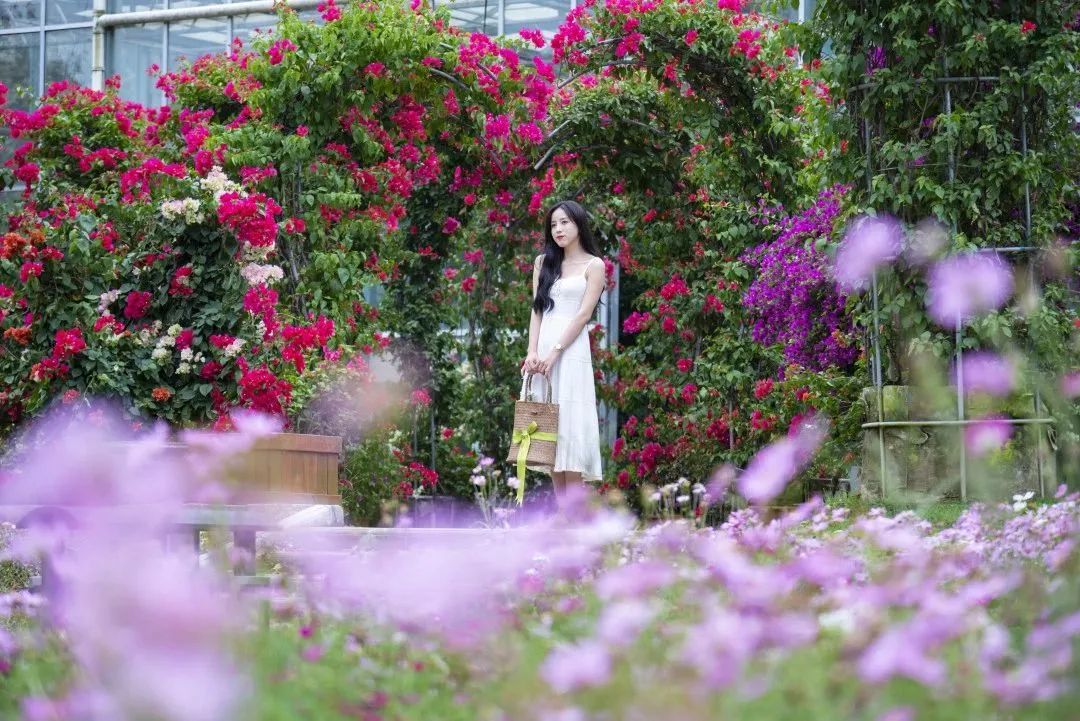 黄湾小镇避暑民宿,黄冈民宿自驾游