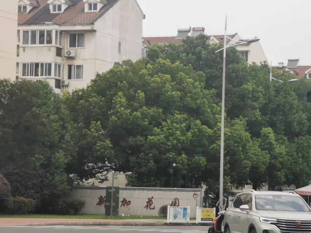 苏州最新成交记录,苏州24年成交数据