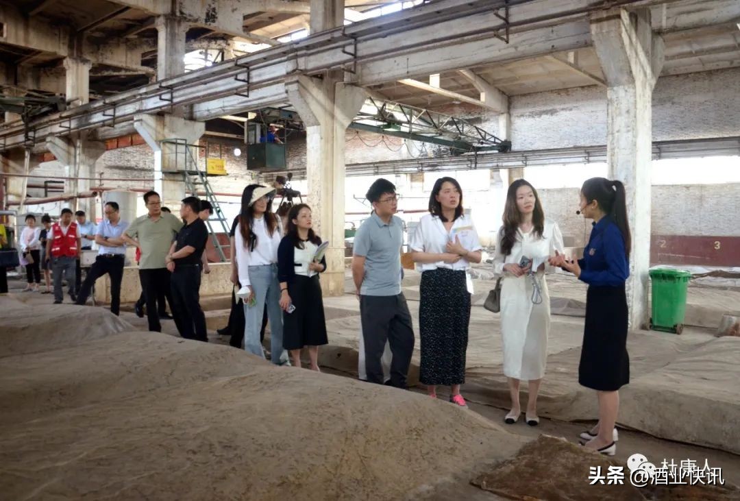 鏉滃悍鎺ц偂浼婂窛閰掑巶,浼婂窛鏉滃悍鎺ц偂