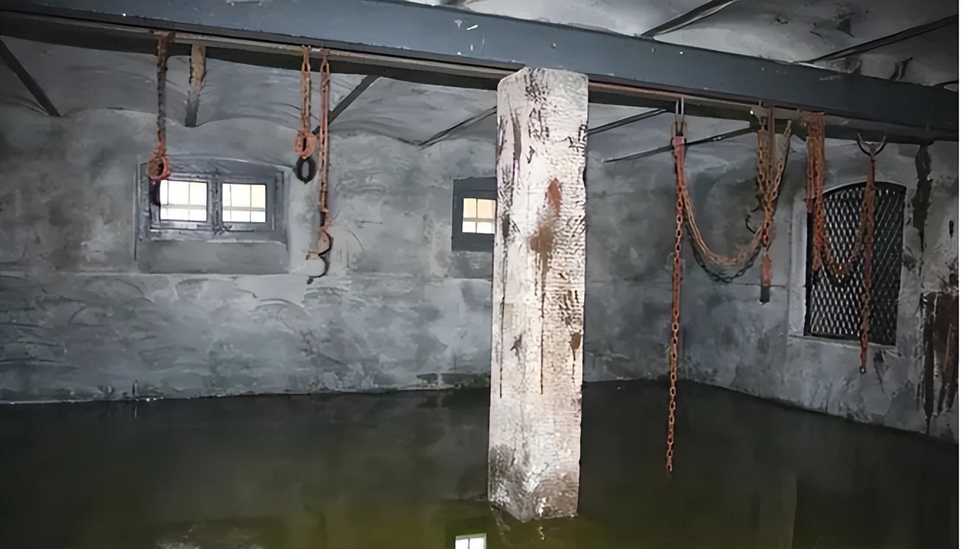 缅北训狗场女性被救,缅北训狗真实事件