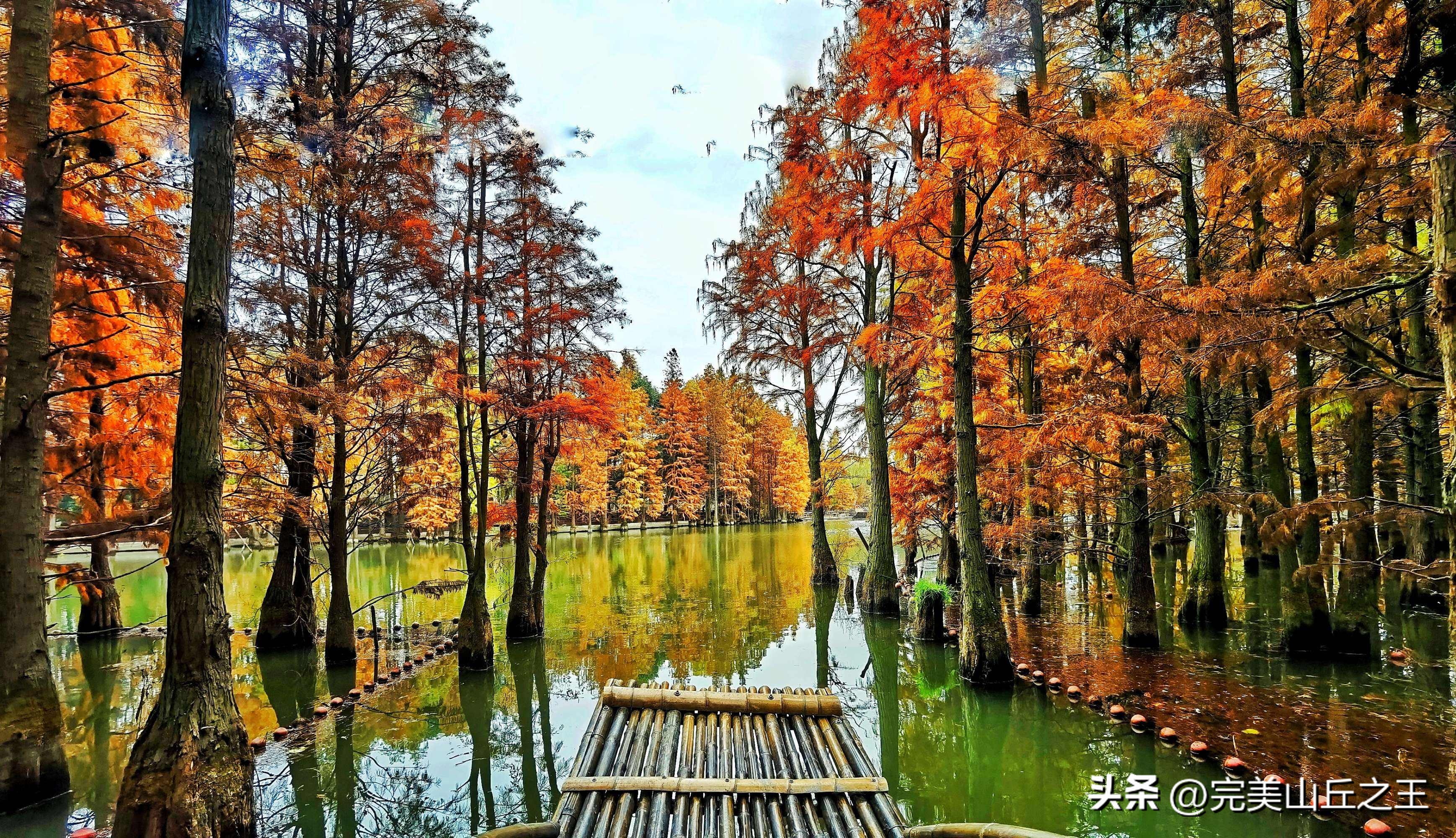 苏州5a旅游景点排名,苏州旺山景区5a