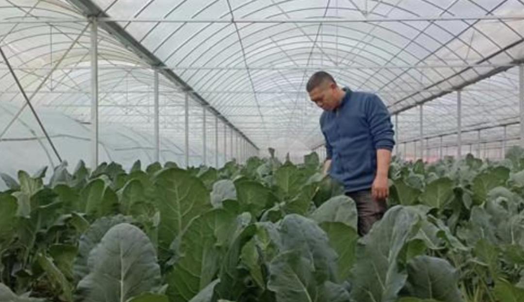 退役军人专职消防员培训班,沈阳退役军人免费技能培训消防