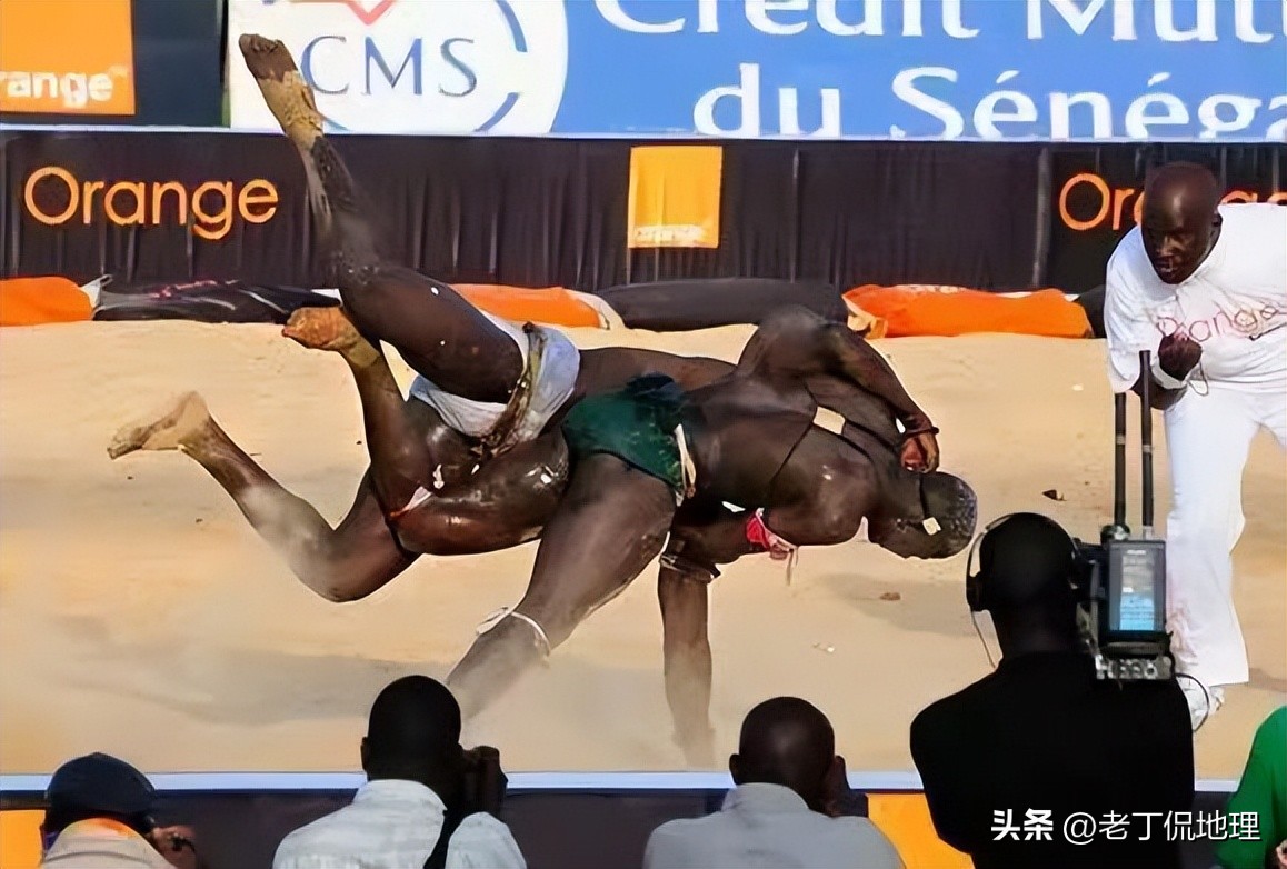 世界杯喀麦隆vs阿尔及利亚,塞内加尔世界杯之路