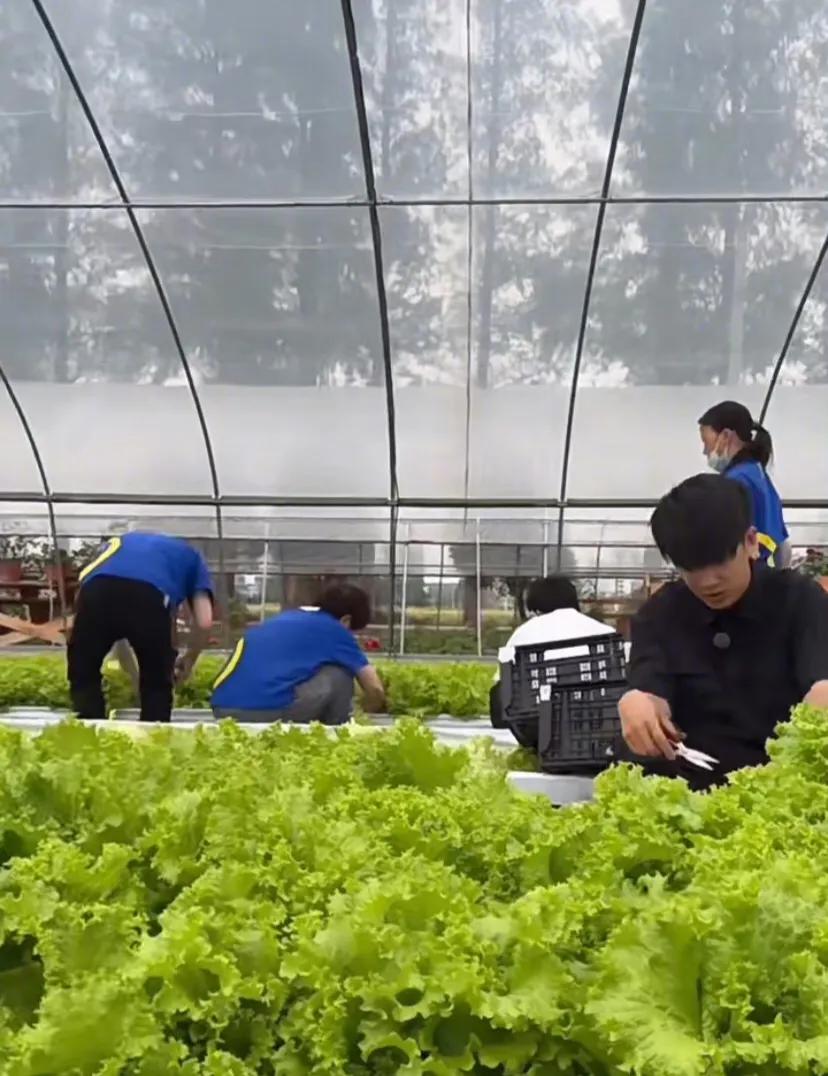 《种地吧》9.0分收官，获3.8亿投资，官媒力赞：相信土地的力量