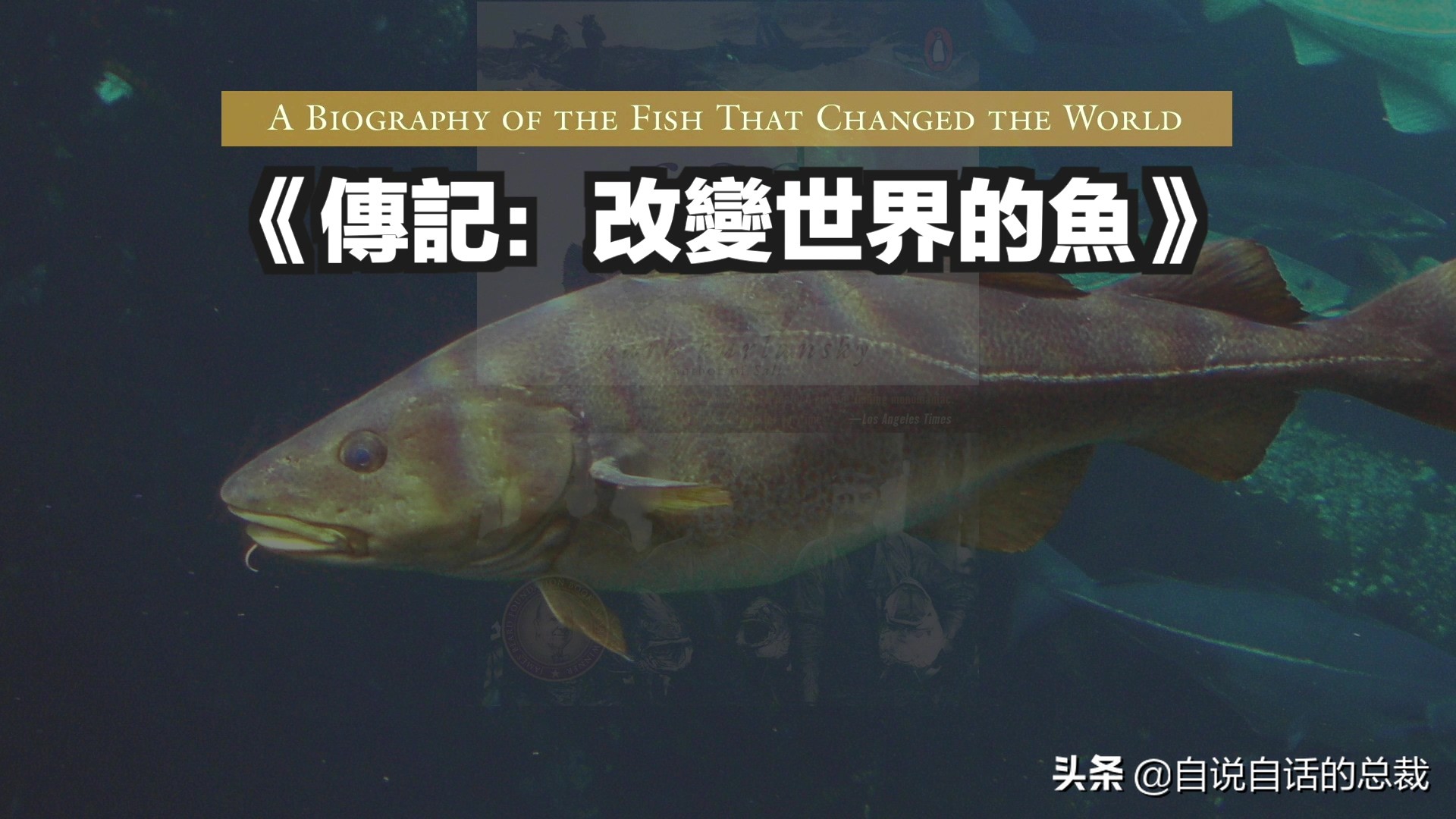 为什么买的鳕鱼段都是粘液,为什么买的鳕鱼那么多水