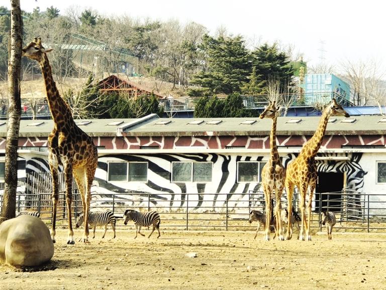 大连踏青推荐地方有哪些,大连春天踏青哪里好
