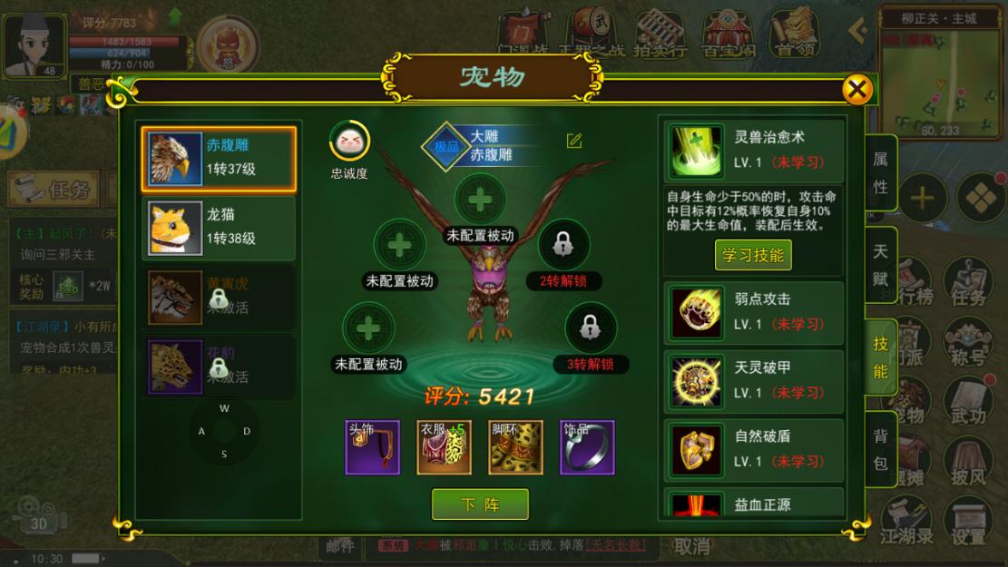 热血江湖宠物装备合成,热血江湖宠物最好装备