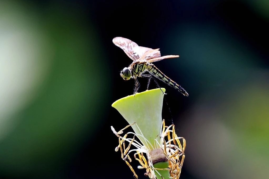 如果你感觉生活很累到底该怎么做,如果你感觉生活很累的时候英文