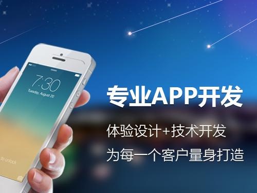 代购项目app,代购app怎么赚钱