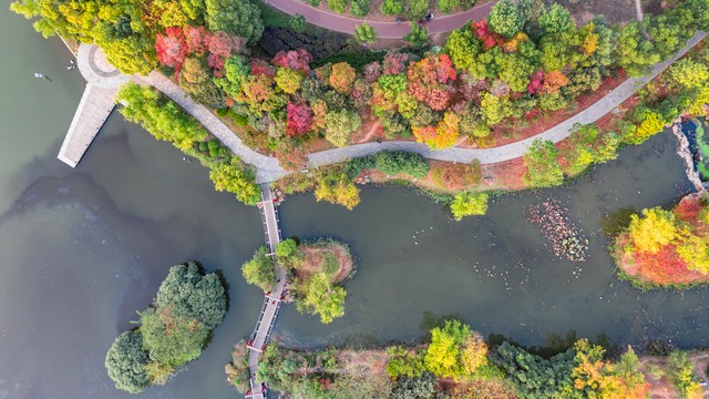 民间纪实故事｜女孩与健身男两天上床半月同居染性病，律师说：该
