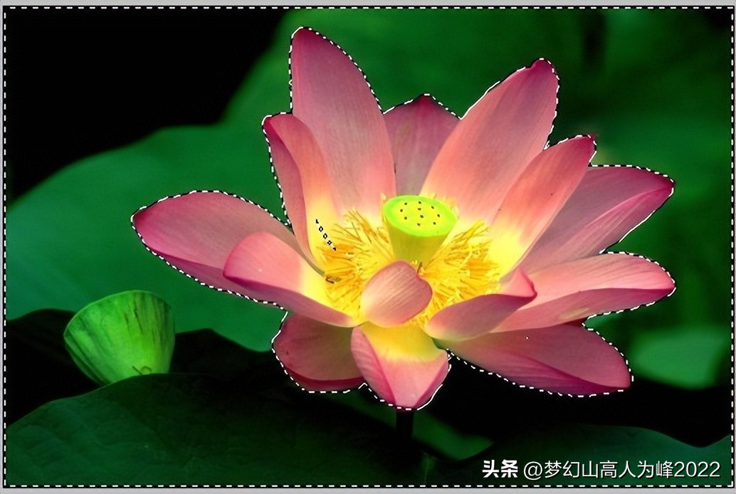 photoshop学习：一个PS进阶的教程——对新手老手都有帮助