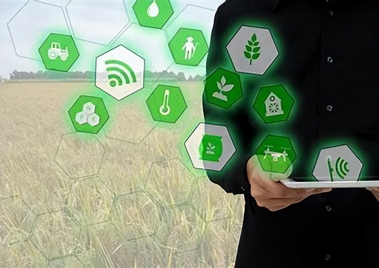 利用林业资源带动经济发展的举措,利用与发展