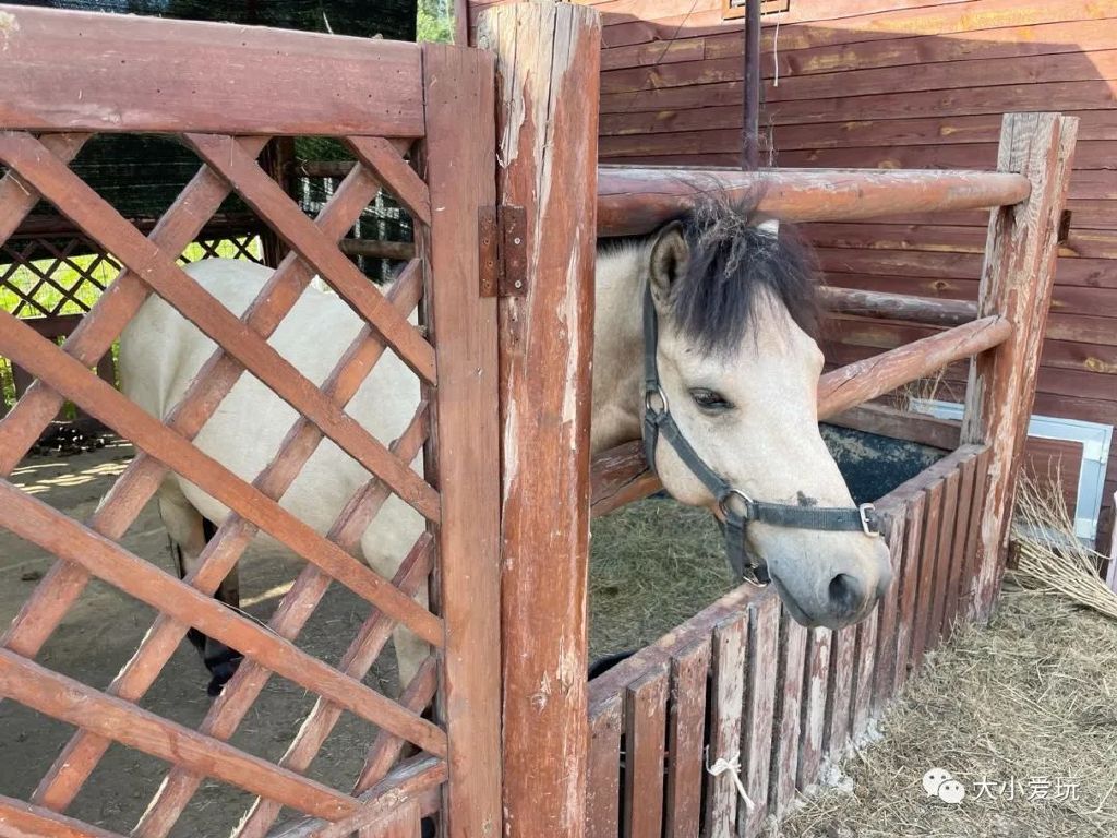 打卡北京亲子乐园天花板,北京度假村旅游攻略带孩子
