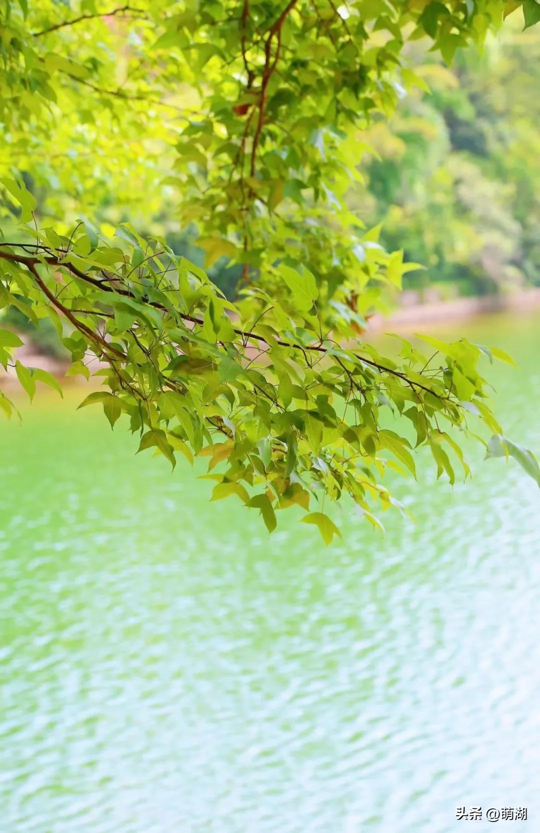 五一广州旅游攻略推荐,五一广州游玩攻略一览表