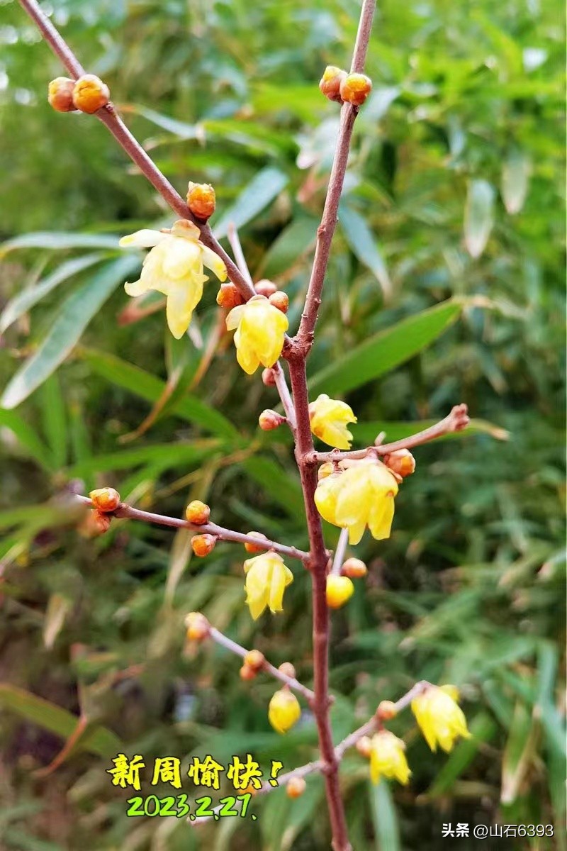 【战友美文】郭福成（天王福哥）：《相遇在春天》（诗）